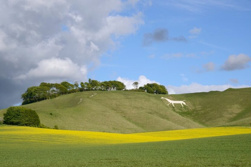 Rolling chalk downlands with the famous white horse hillside figure in rural Wiltshire